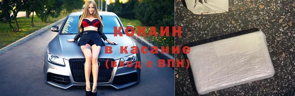 индика Михайлов