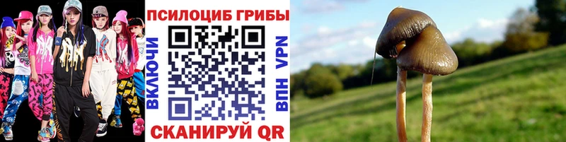 blacksprut ссылки  купить закладку  Островной  Галлюциногенные грибы мухоморы 